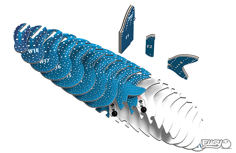 Whale Shark - Eco-Friendly 3D Paper Puzzle - Eugy 049