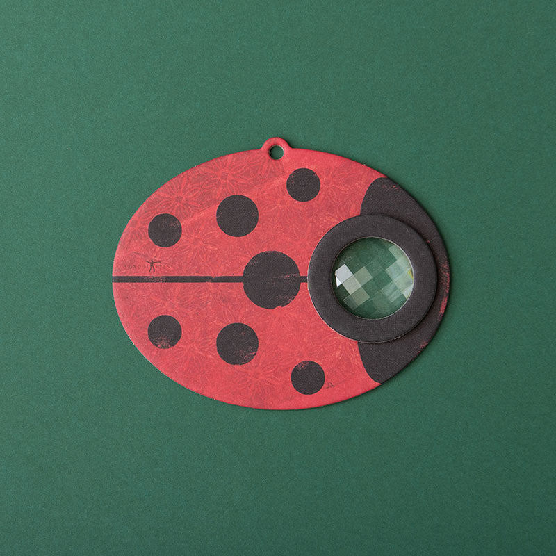 Lady bird bee eye- Londji