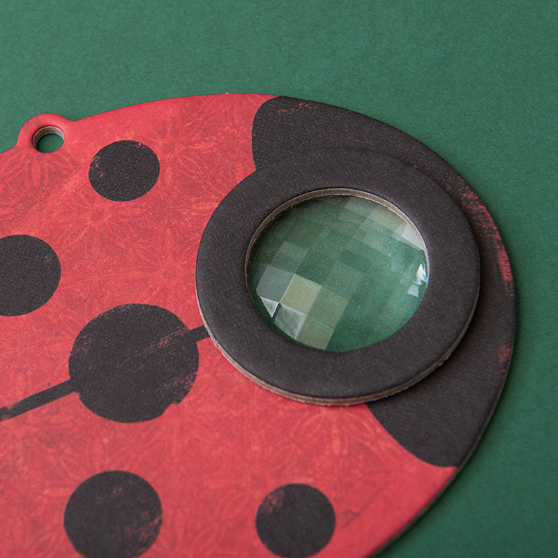 Lady bird bee eye- Londji