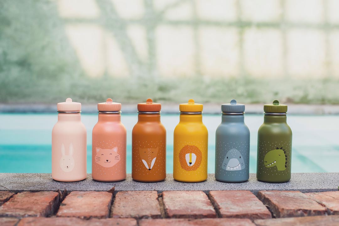 Mr. Dino Stainless Steel Bottle - Trixie