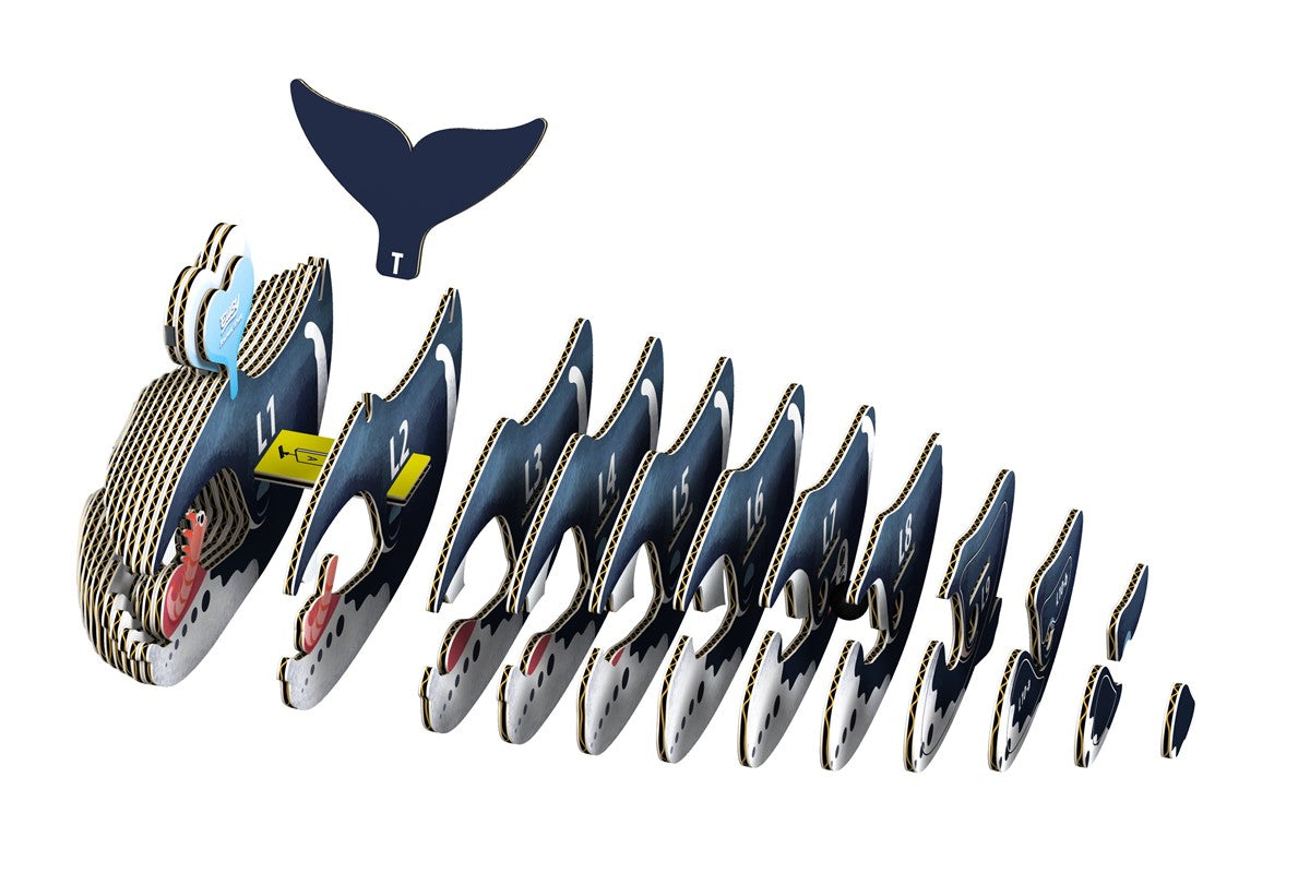 Ballena de Groenlandia - Rompecabezas de papel 3D ecológico - Eugy 084