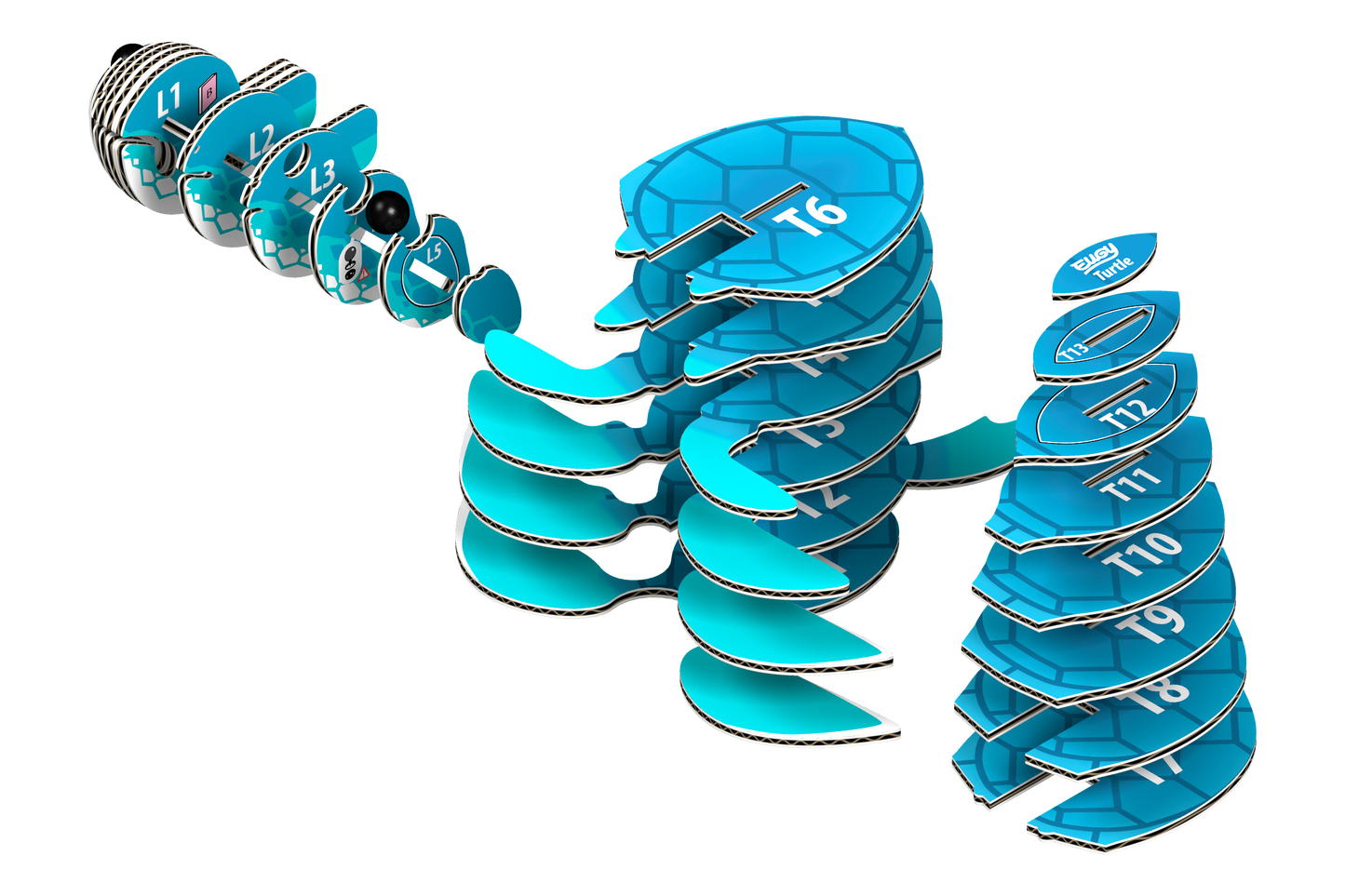 Tortuga -Rompecabezas de Papel 3D Ecológico - Eugy 038