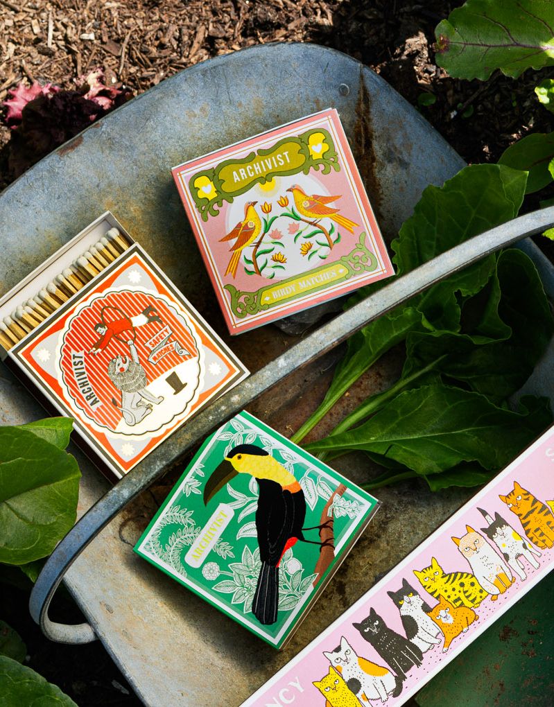 Birdy Matches