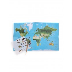 Calcomanías de los animales del mundo / Animals of the world transfers