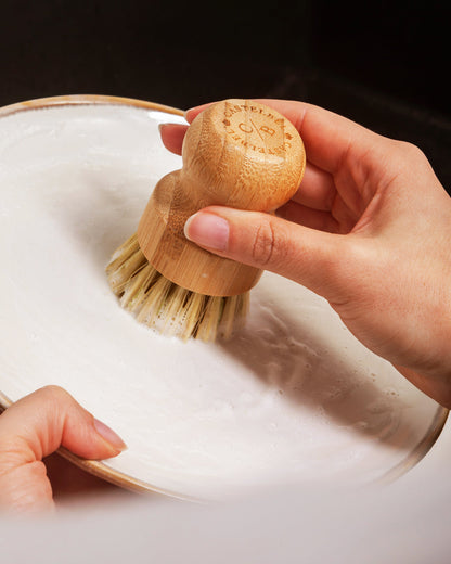 Dishwashing Soap & Bamboo Brush Set - Sardine