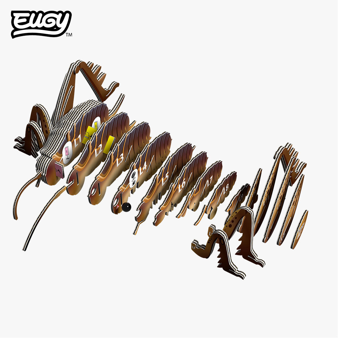 Giant Weta - Eco-Friendly 3D Paper Puzzle - Eugy 119