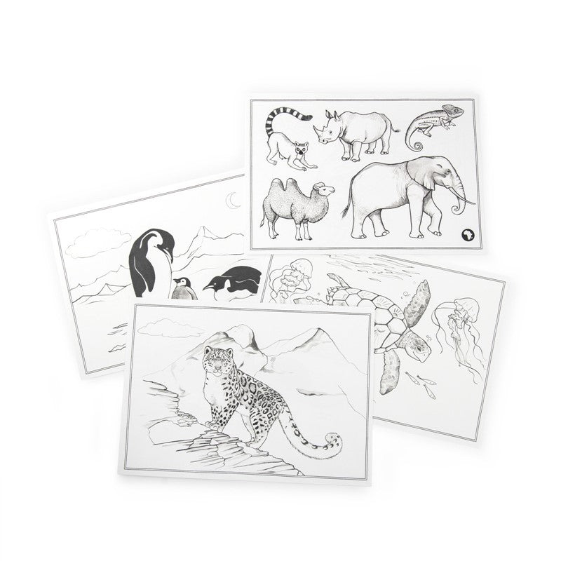 Autour du Monde Refill Pack for KIDYDRAW MOULIN ROTY - Kidywolf