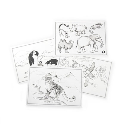 Autour du Monde Refill Pack for KIDYDRAW MOULIN ROTY - Kidywolf
