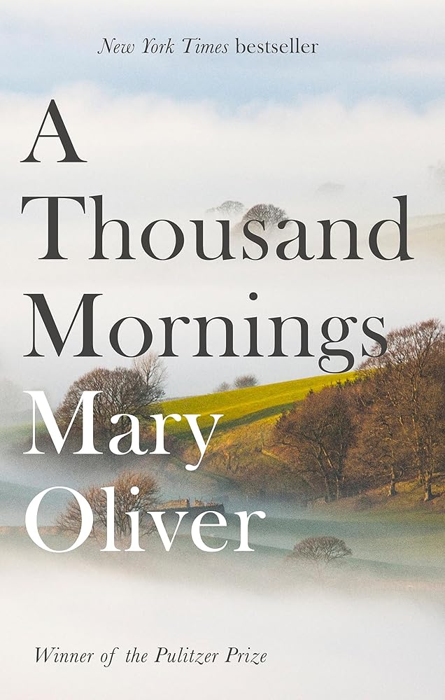 Thousand Mornings cover image