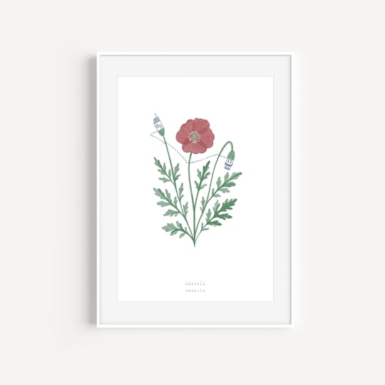 A5 Notebook - Raccotín