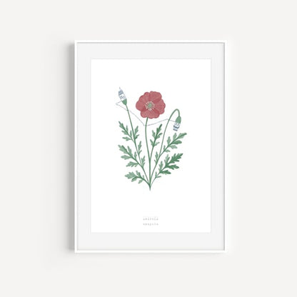 A5 Notebook - Raccotín
