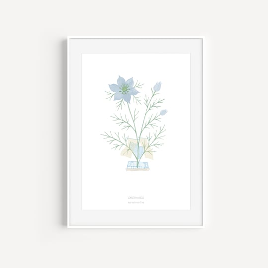 A5 Notebook - Raccotín