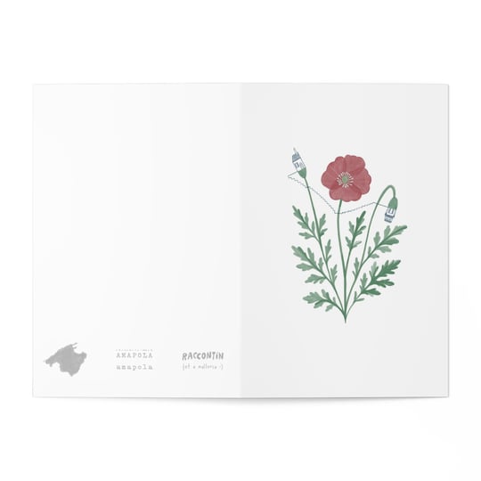 A5 Notebook - Raccotín