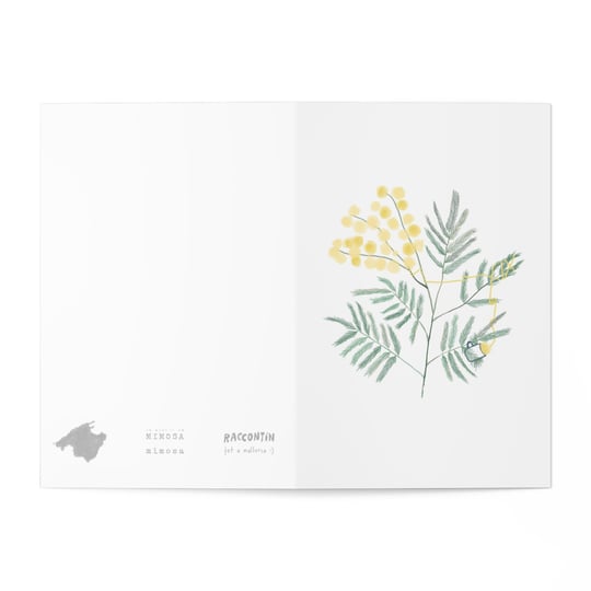 A5 Notebook - Raccotín