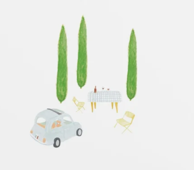 A6 Card- Raccotín