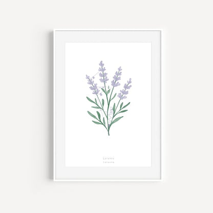 A5 Notebook - Raccotín