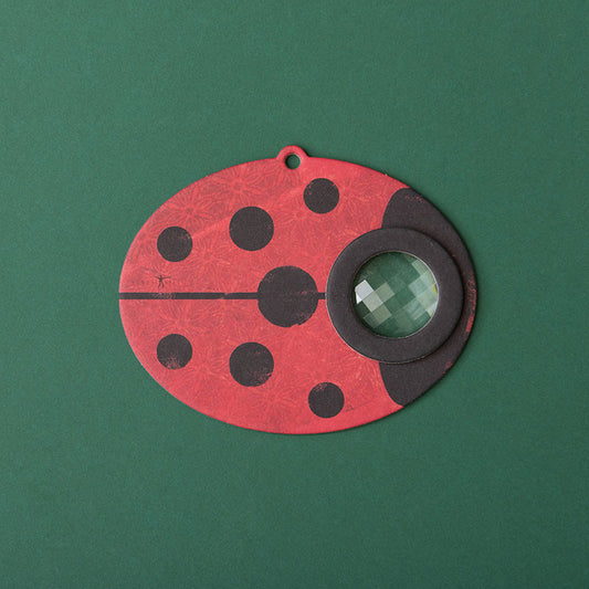 Lady bird bee eye- Londji