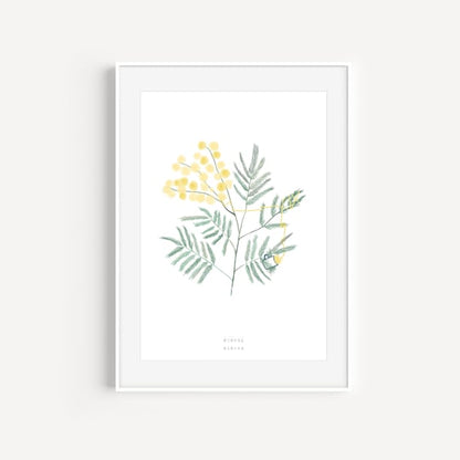 A5 Notebook - Raccotín