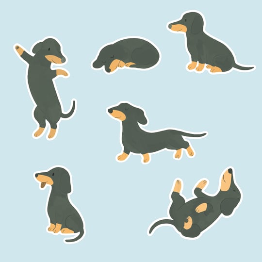 Stickers Raccotín