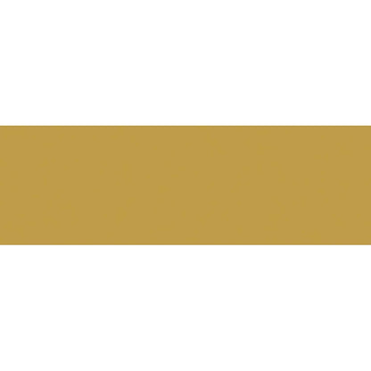 Masking Tape Gold - Midori