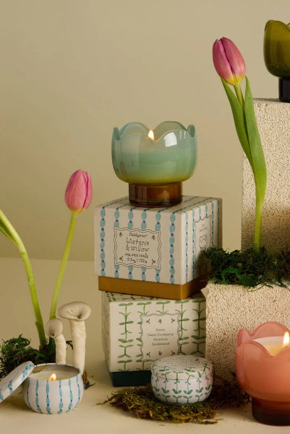 Tulip Scented Candle - Wisteria & Willow - Paddywax