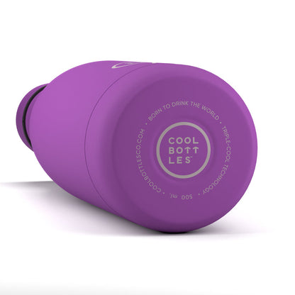 Vivid Violet Insulated Stainless Steel Bottle