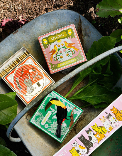 Birdy Matches