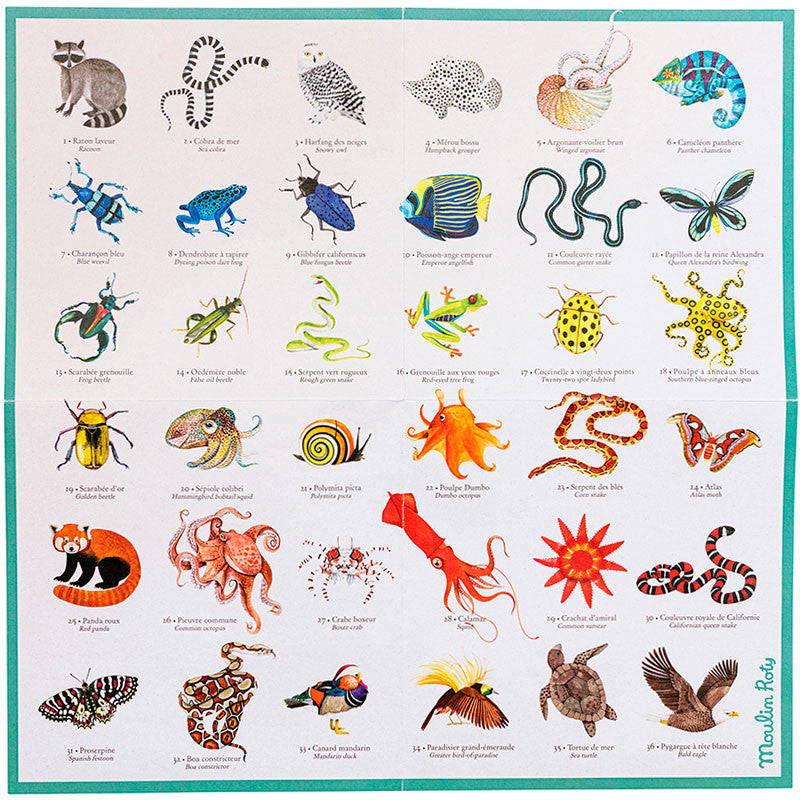Memory Des Animaux
