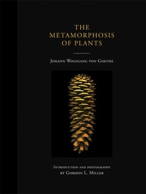 METAMORPHOSIS OF PLANTS