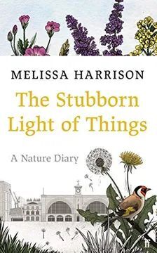 THE STUBBORN LIGHT OF THINGS