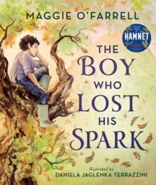 THE BOY WHO LOST HIS SPARK