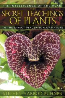 THE SECRET TEACHINGS OF PLANTS : THE INTELLIGENCE OF THE HEART IN DIRECT PERCEPTION TO NATURE