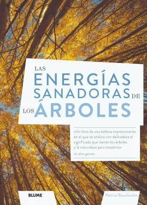 LAS ENERGIAS SANADORAS DE LOS ARBOLES