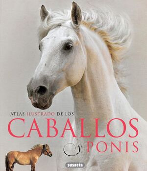 ATLAS ILUSTRADO DE CABALLOS Y PONIS